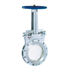 Ductile Iron with Epoxy Coating Y Strainer